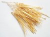 60 pcs, 2 Inch 20ga Bright Gold Eye Pins